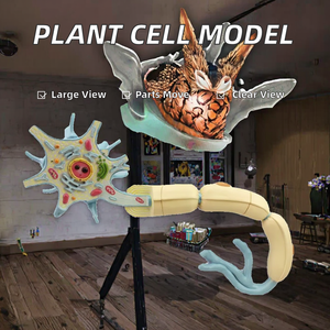 Modèle d'anatomie de cellule neuronale humaine avec gaine myelinique pour l'enseignement de la <span class=keywords><strong>biologie</strong></span> médicale - Product Image 5