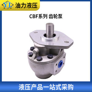 ปั๊มน้ำมันไฮดรอลิกแบบเฟือง ซีรีส์ CBF-(F)E1018 ของฟู่ซิน ซีชوان ฉางเจียง ซีรีส์ CBF-(F)E1018 - Product Image 2