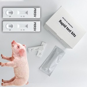 Kit de bandelettes de test rapide pour la détection des anticorps du virus de la maladie de Blue Ear chez les porcs, pour la prévention des maladies respiratoires et reproductives porcines CE/ISO/ROHS - Product Image 1