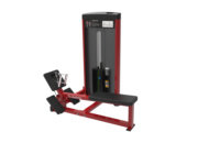 2024 Bodystorm fitness Commercial Gym équipement de fitness Leg Extension Prone Curl combo