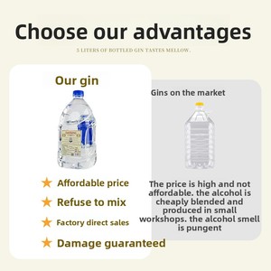 <span class=keywords><strong>Gin</strong></span> Premium 5L 40% ABV con Distillazione Naturale |   Fornitura B2B all'Ingrosso per Bar e Ristoranti: Qualità Costante e Prezzo Competitivo - Product Image 5