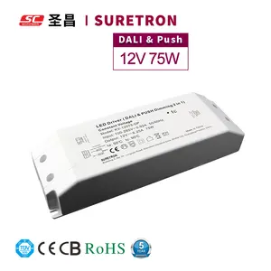 Dali-transformador de atenuación regulable, Controlador Led de voltaje constante de 3100ma, 75w, 24v de CC, fuente de alimentación Led, iluminación CE ROHS 0,45