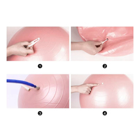 Mini-ballon de Pilates 25 cm en PVC anti-éclatement pour l'équilibre, le renforcement du tronc, le yoga, la stabilité, l'entraînement physique et les séances à domicile