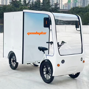 Vélo cargo électrique robuste 48V 750W à <span class=keywords><strong>4</strong></span> <span class=keywords><strong>roues</strong></span> <span class=keywords><strong>avec</strong></span> boîte de transport arrière - Product Image 1