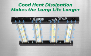 ไฟปลูกต้นไม้แบบ LED สเปกตรัมเต็ม 240W ยี่ห้อ Black Label คุณภาพสูง สำหรับปลูกพืชในร่ม พร้อมระบบควบคุมการหรี่แสง - Product Image 3