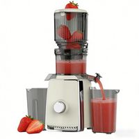 Extracteurs de jus électriques à mastication puissants de 500 W, à grande ouverture de 110 mm, personnalisés, pour fruits et légumes, presse à froid lente