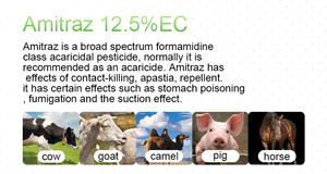 Amitraz 12.5% EC 125g/L <span class=keywords><strong>Insecticida</strong></span> Acaricida para Uso en Ganado y Cultivos - Product Image 5