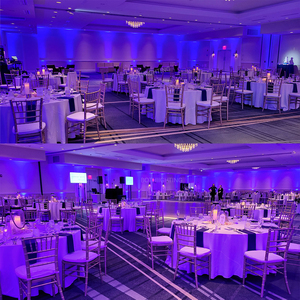 Cả hai ánh sáng IR4 mini <span class=keywords><strong>Spot</strong></span> <span class=keywords><strong>Par</strong></span> lights <span class=keywords><strong>LED</strong></span> 4*12 Wát không dây DMX uplights Pin điện cho DJ đèn đám cưới Disco Đảng tổ chức sự kiện - Product Image 6