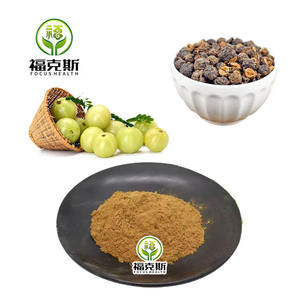 Usine Top Qualité Meilleur <span class=keywords><strong>Amla</strong></span> Fruit Extrait Poudre Organique <span class=keywords><strong>Amla</strong></span> Extrait Poudre pour Cheveux - Product Image 1