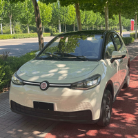 Véhicule électrique à faible vitesse personnalisé, nouvelle énergie, 4 roues, longue autonomie, pour adultes