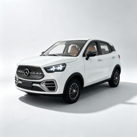 Véhicule électrique à énergie nouvelle, voiture haute puissance, longue autonomie, confortable, facile à conduire, SUV 5 places, fabriqué en Chine