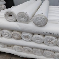 Tissu taffetas croisé 75D 210T à séchage rapide et respirant 100% polyester pour doublure de manteau et de doudoune – Vente en gros usine