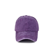 Gorra de Béisbol Unisex de Estilo Moderno con Visera Curva, Lavada, Vintage, Deportiva, Formal, Informal de Negocios, para Viajes y Ciclismo