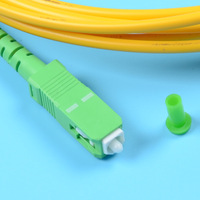Cordon de brassage fibre optique personnalisé OS2 SC/APC vers SC/APC 3m 3.0mm LSZH G652D 9/125 Monomode Simplex