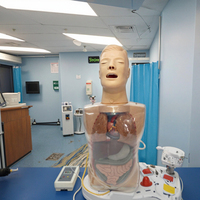 Modèle de mannequin d'entraînement à trois chambres et à deux capsules, modèle d'entraînement pour l'examen de la prostate
