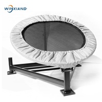 Equipo de Gimnasio, Trampolín de Rebote, Pelota Medicinal, Rebotador de Pared