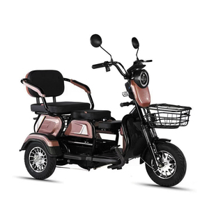 Vente d'usine <span class=keywords><strong>Tricycle</strong></span> <span class=keywords><strong>adulte</strong></span> pour personnes handicapées, scooter <span class=keywords><strong>électrique</strong></span> de loisirs à trois places 650w, <span class=keywords><strong>tricycle</strong></span> <span class=keywords><strong>électrique</strong></span> de loisirs pour personnes âgées, mini moto - Product Image 6