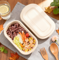 Premium Wegwerp Bagasse Afhaallocatie Eetbak Duurzaam 850/1000ml 2-Vaks Voedselcontainer met Deksel
