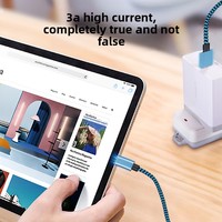 Kabel Data Pengisian Cepat 3A dengan Konduktor Tembaga Murni Berlapis Nilon dan Aluminium Alloy Tipe-C, Desain Khusus, untuk Penggunaan Antar Negara