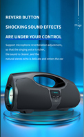 Système audio sans fil portable KTV 40W étanche avec batterie 8000mAh pour parcs et événements festifs