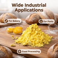 Poudre de jaune d'œuf de qualité alimentaire pasteurisée en vrac pour marque privée, OEM, vente en gros, ingrédient pour la mayonnaise, la crème glacée, les nouilles et les sauces