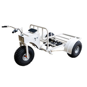 Elektrische ijskar met display, driewieler, elektrische trolley, handkar voor ijs - Product Image 1