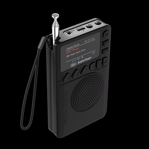 Nouveau modèle 2025 – Radio numérique portable LCD sans fil BT multifonction DAB/DAB+ en plastique - Product Image 3