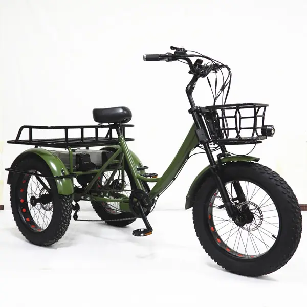 2024 New Electric Trike 3 Wheel Removable Battery assisted Pedal LCD Display 350W 550w Cargo 3 Wheels Electric Family Tricycle