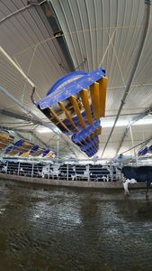 Ventilador Eléctrico de Pared de Alta Resistencia de 72 Pulgadas para Ventilación de Establos, Ventilador de Gran Volumen de Aire para Control de Temperatura en Granjas Lecheras - Product Image 5