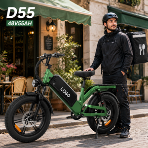 Bicicleta Eléctrica de Carga D55, 48V 55Ah, Cuadro de Aluminio de 20 Pulgadas, Freno de Disco, Motor en el Buje Trasero, Batería de Litio, Nicycle Eléctrico - Product Image 1