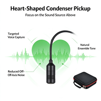 Microphone suspendu au plafond pour enregistrement vocal, instruments de musique, conférences et spectacles
