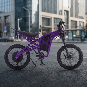 17" Adult Bike 60V 2000W Brushless Motor Dual Lithium Battery Hydraulic Disc Aluminum <b>Frame</b> Inverted - Product Image 1