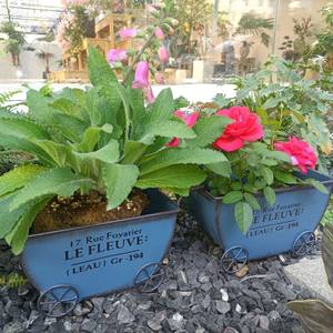 Macetero de Hierro Forjado Retro de Cuatro Ruedas con Envío Rápido para Decoración de Patio de Villa y Casa de Huéspedes, Macetero Sencillo - Product Image 5