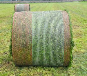 UV-Schutz Kunststoff Ballen netz Wrap Hay <span class=keywords><strong>Net</strong></span> Silage Verpackung Rund ballen netz - Product Image 1