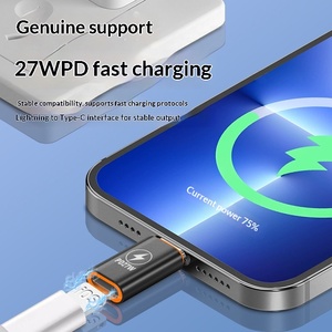 Câble adaptateur de charge et de données USB-C pour téléphones mobiles, convertisseur de charge rapide USB-C vers 8 broches femelle - Product Image 6