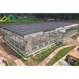wholesale price green house metal frame good price agricultural greenhouse glass greenhouse buy chinese greenhouse