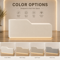 Comptoir de réception moderne minimaliste à LED, sur mesure, pour salon, bureau, spa, avec armoire de rangement