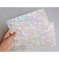 Grand Grain Bohai Bay Shell Naturel Nacre Flocons Creative Papier Laque Art Peinture Sculpté Incrustation Artisanat Décoratif