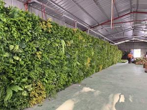 Fond de plante verte artificielle de mur de plante artificielle personnalisé haut de gamme, paysage de centre commercial de décoration murale - Product Image 4