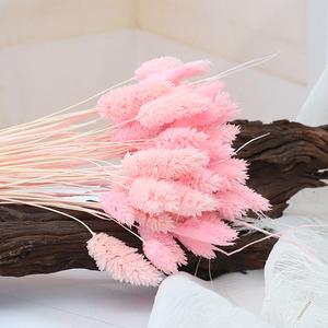 Decoración Boho, Joyería Natural, Flores Secas y Plantas, Hierba de Gemas, <span class=keywords><strong>Phalaris</strong></span>, para Regalo del Día de la Madre, Ramo de Flores - Product Image 3