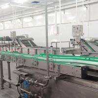 Fabrieksdirecte levering automatische lijn voor de verwerking van geconserveerde kikkererwten en sperziebonen, nieuwe machine voor het inblikken van groenten en fruit, productielijn