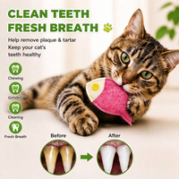 Jouet de luxe pour chats et chiens, en forme de poisson, infusé à la catnip, en loofah naturel, écologique, innovant, anti-ennui, jouet à mâcher sûr pour les soins dentaires