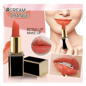 Benutzer definierte Private Label Lippenstift OEM einfarbig ändern farbigen Lippen balsam Lippenstift