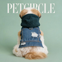 Dernier design de veste en jean pour chien, manteau d'hiver sans manches de luxe à la mode avec capuche