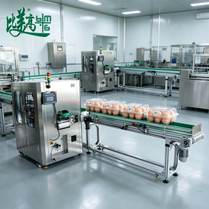 Système d'inspection automatique des codes de date sur les boîtes en plastique pour œufs, avec vision artificielle et OCR, capacité de 6000 pièces par heure - Product Image 4