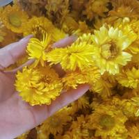 Vente en gros tout-en-un de petites têtes de fleurs séchées naturelles en paille : Chrysanthème et Marguerite pour Noël et la Fête des Mères