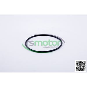 Joint d'origine OEM pour RS-01166131 de moteur de machines MWM - Product Image 4