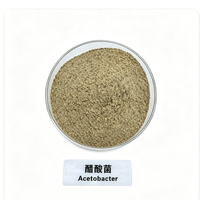 Poudre de culture de démarrage Acetobacter 10 milliards UFC/g, durée de conservation de 12 mois, sacs kraft de 25 kg avec doublure imperméable pour l'acide acétique