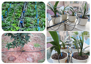Sistema di irrigazione <span class=keywords><strong>a</strong></span> <span class=keywords><strong>goccia</strong></span> d'acqua da giardino per gruppo di distribuzione Bonsai Dripper freccia <span class=keywords><strong>a</strong></span> gomito - Product Image 3