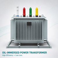 Transformateur immergé dans l'huile à bobinage en cuivre triphasé, type d'huile personnalisé ONAN, 33 kV, 50 Hz, 11 kV, faible perte, économie d'énergie